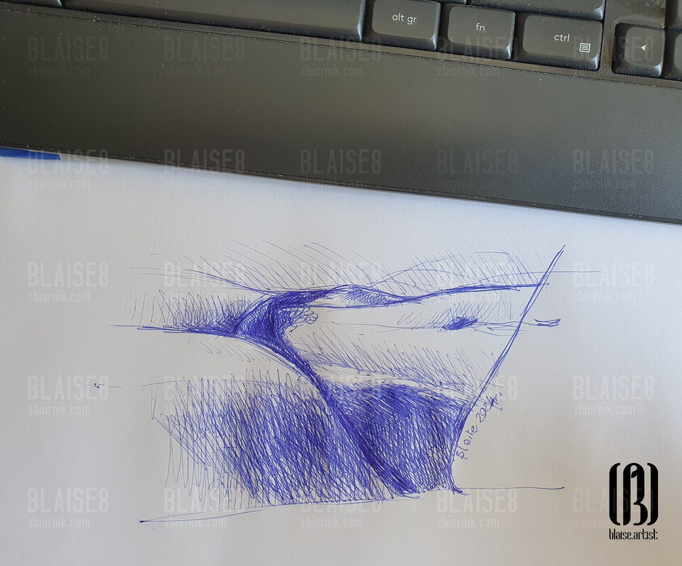 Art. No. 275 - blaise8