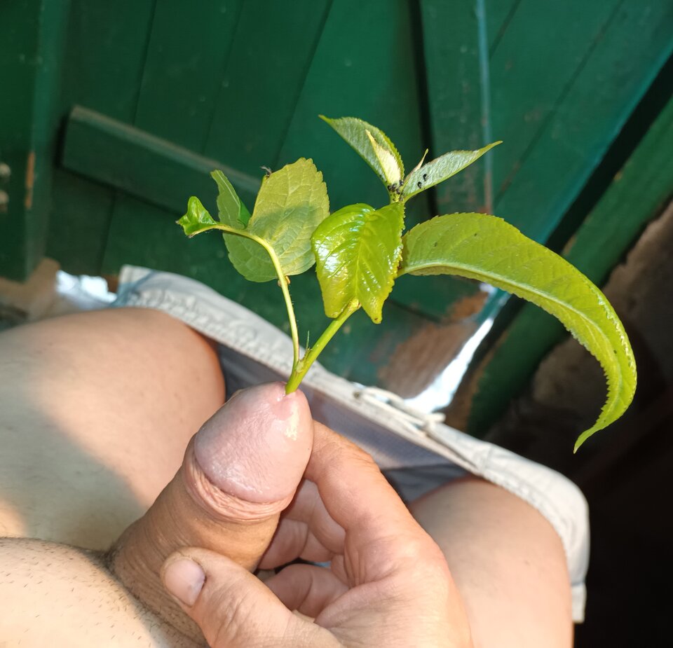 20240522_154941.jpg - wielbicielnatury