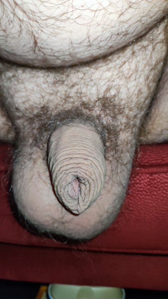 IMG_20240524_185000.jpg - PuszystyLubuskie