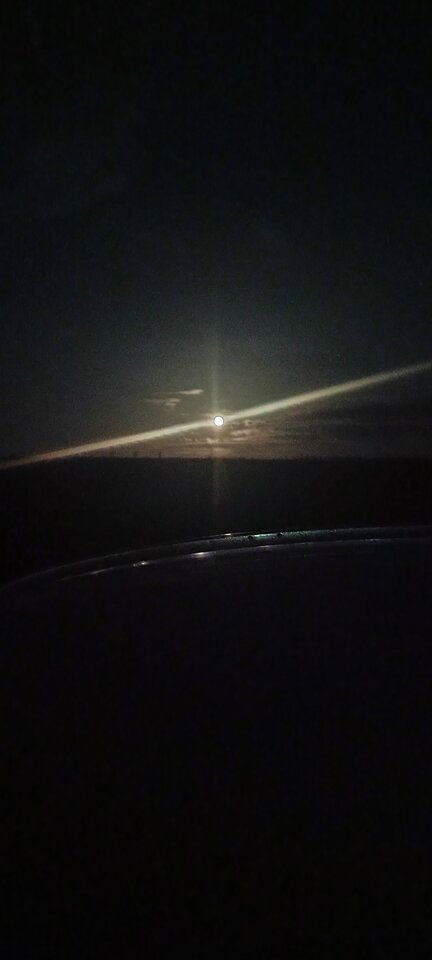 1000011464.jpg - Buzzzka