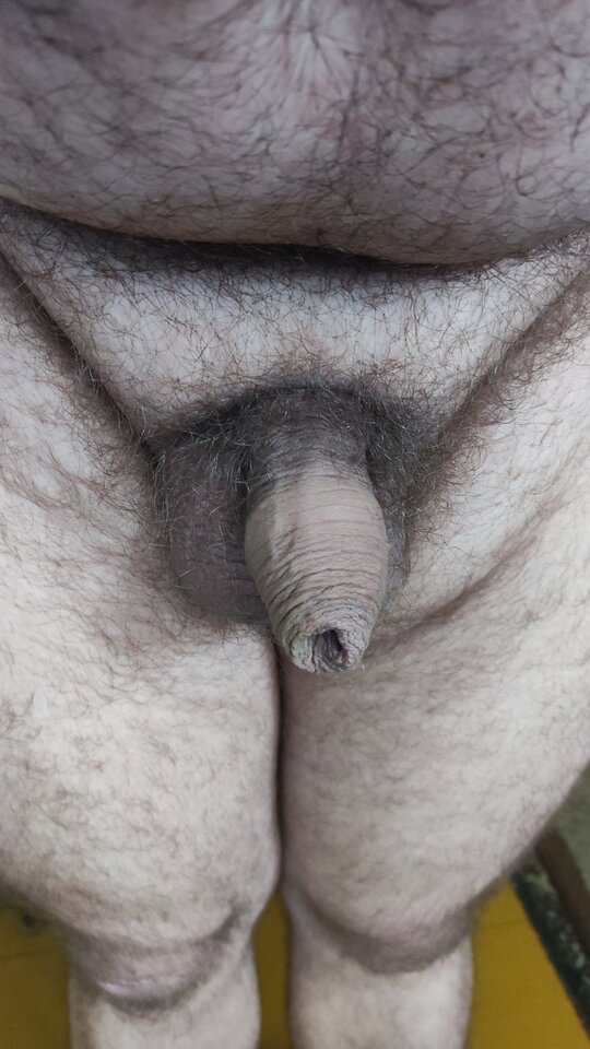 IMG_20240525_073311.jpg - PuszystyLubuskie