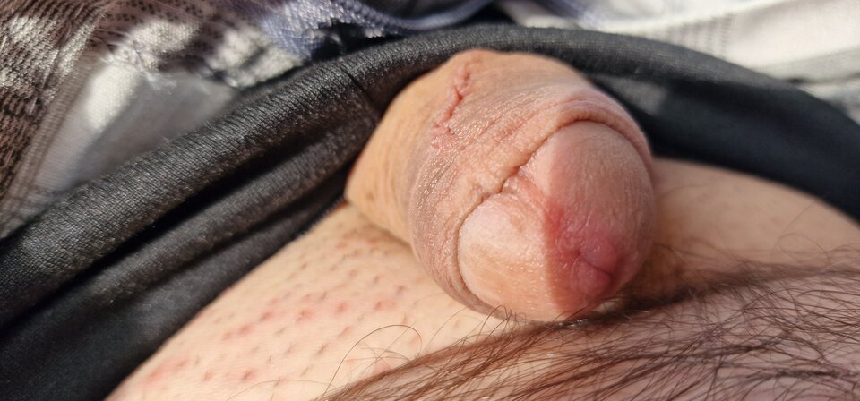 17166173145451999669631411838055.jpg - robin266