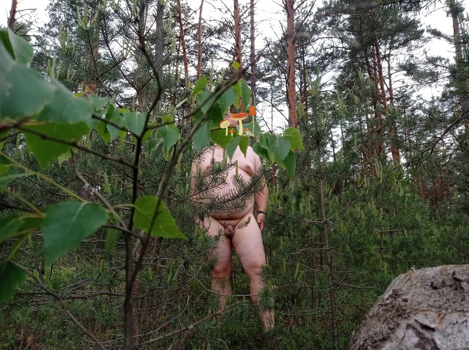 1000040006.jpg - 1983marcello