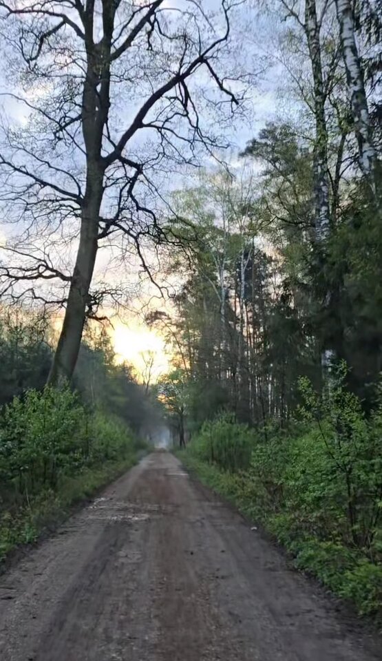 IMG_20240404_103854.jpg - As_a