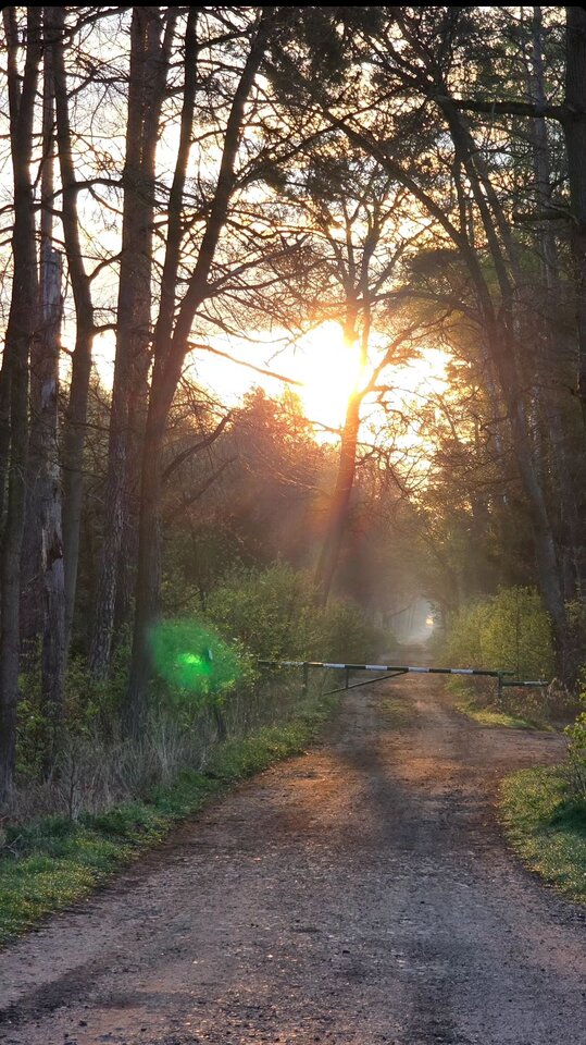 IMG_20240404_103921.jpg - As_a