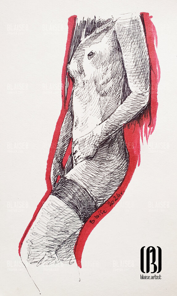 Art. No. 276 - blaise8