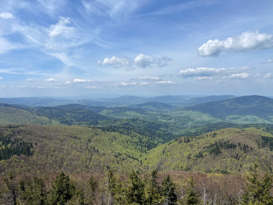 IMG-20240512-WA0008.jpg - Czarodzieje_alfa