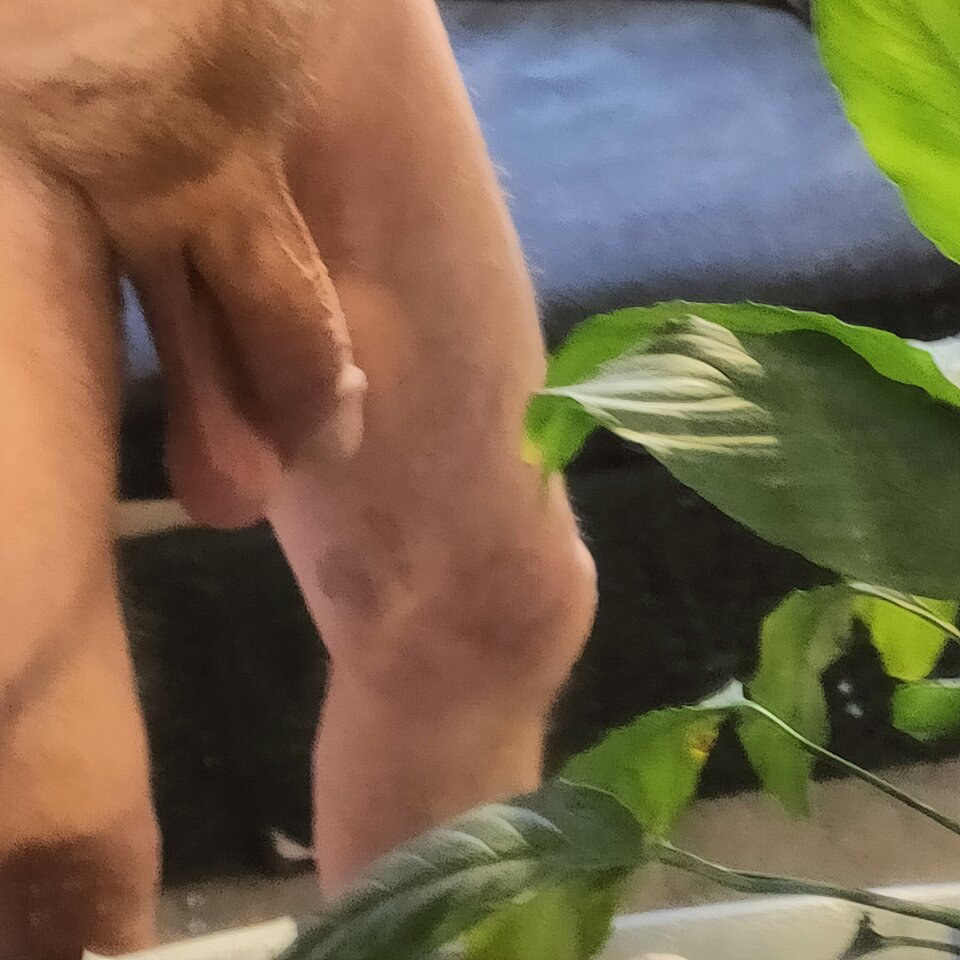 IMG20240525201042.jpg - jamnik7522