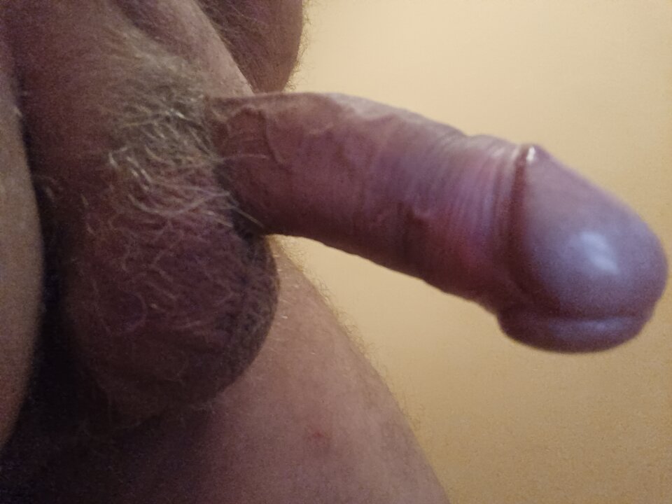 1716692126791772553356091845173.jpg - ardas1