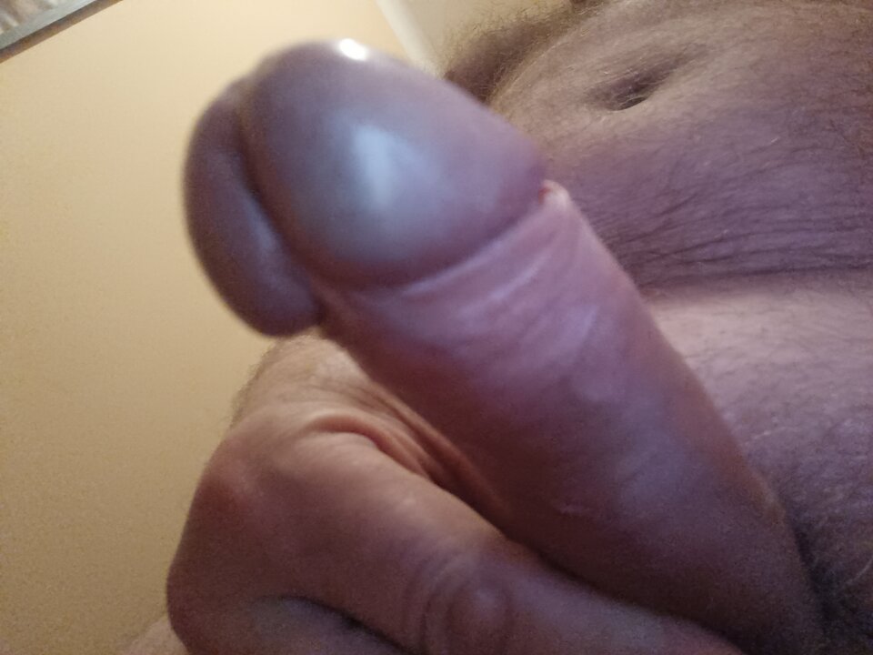 17166921625134943575704961806348.jpg - ardas1