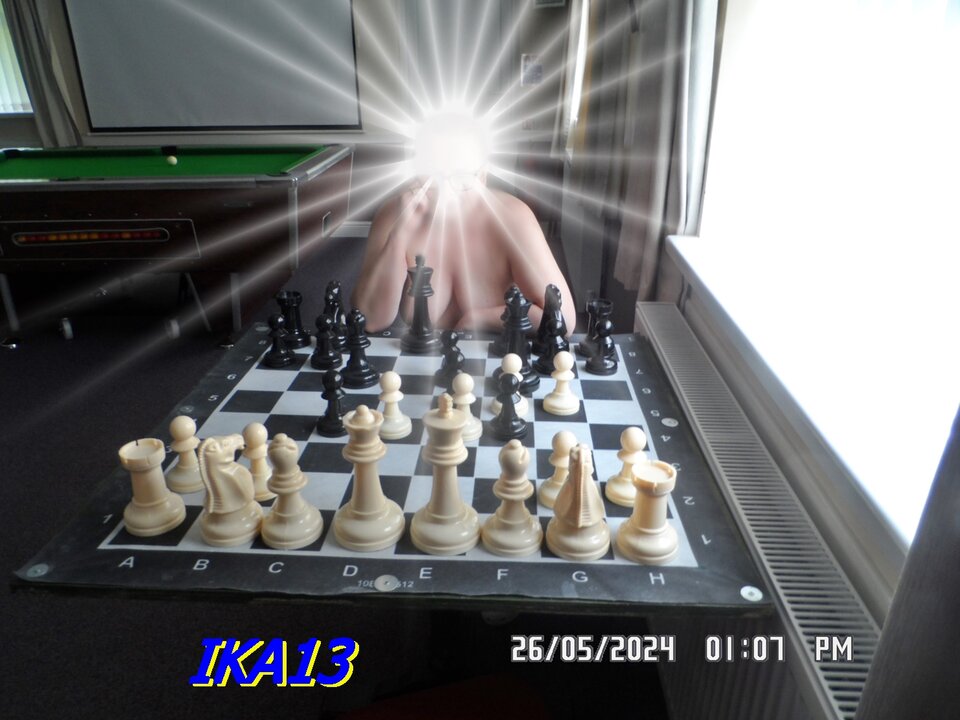 SAM_1888.JPG - ika13