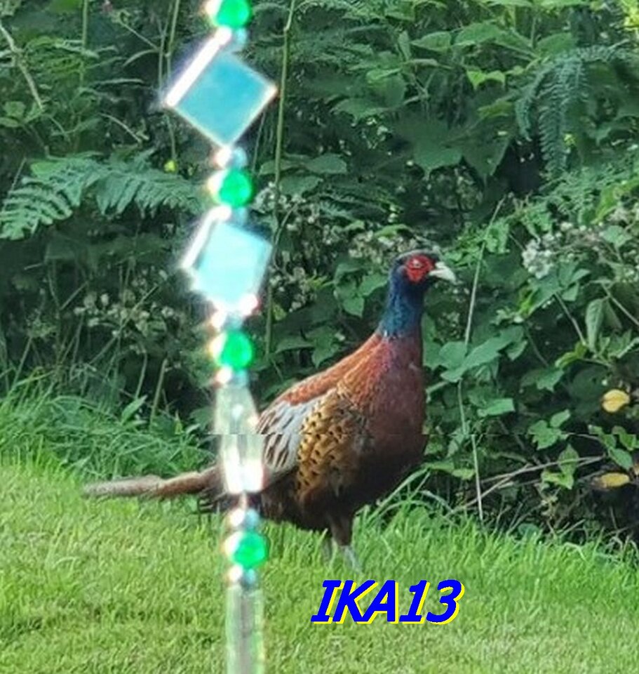 Nasz budzik.jpg - ika13