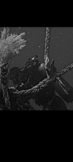 Screenshot_20240526_181521_Gallery.jpg