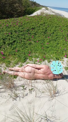 IMG_20240526_185537.jpg