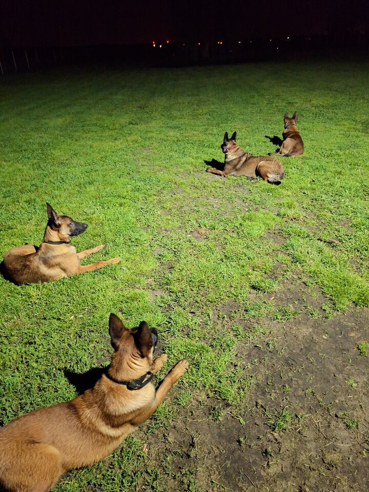 20240501_225045.jpg - Kalim865