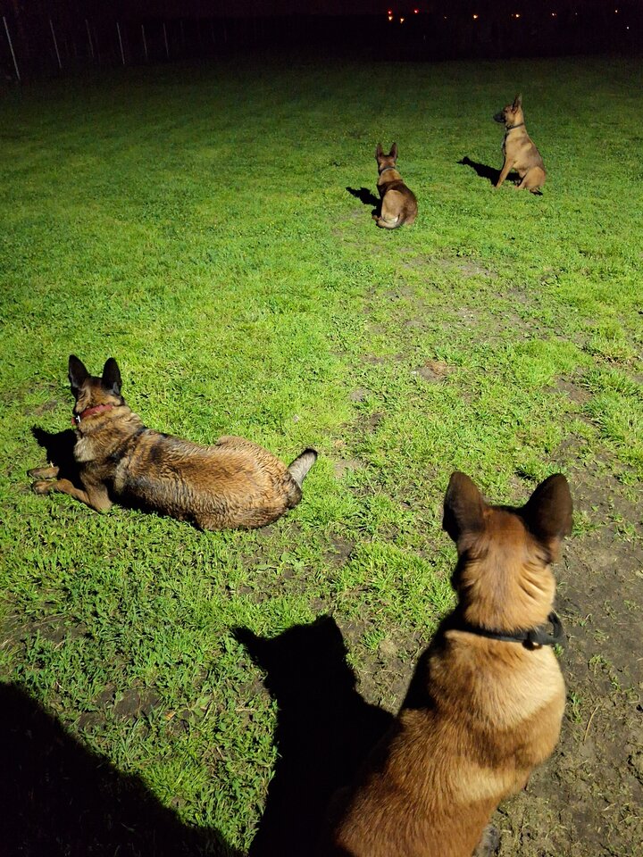 20240501_230818.jpg - Kalim865