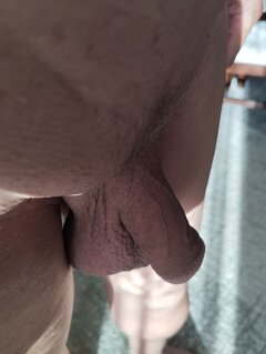 IMG_20240527_064226.jpg