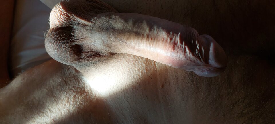 20240526_071559.jpg - Wojtek797