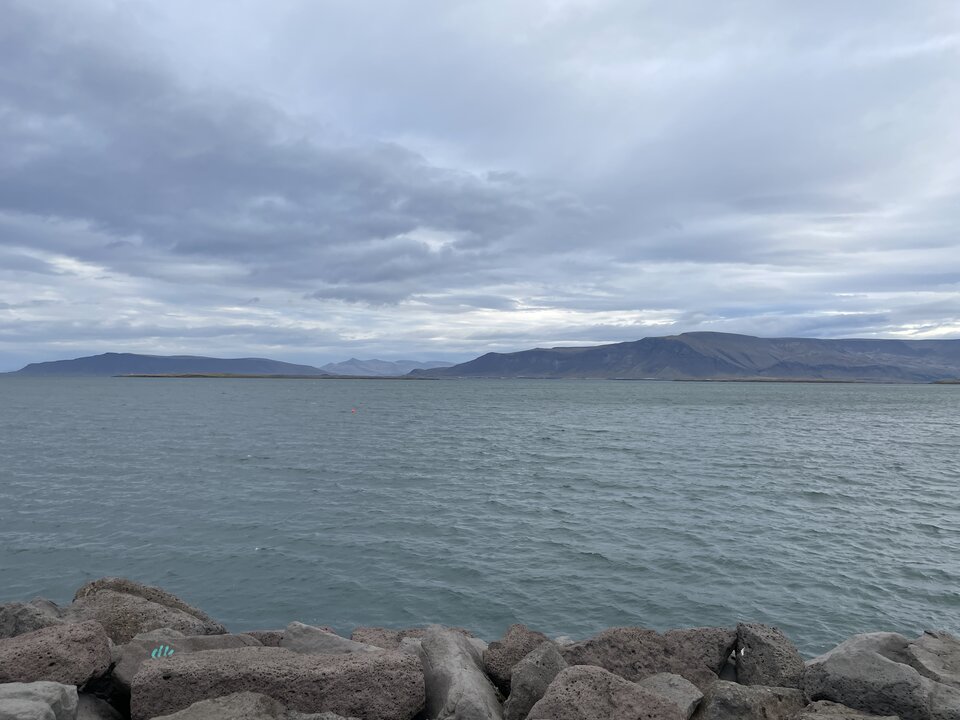 IMG_8801.JPEG - Milycris