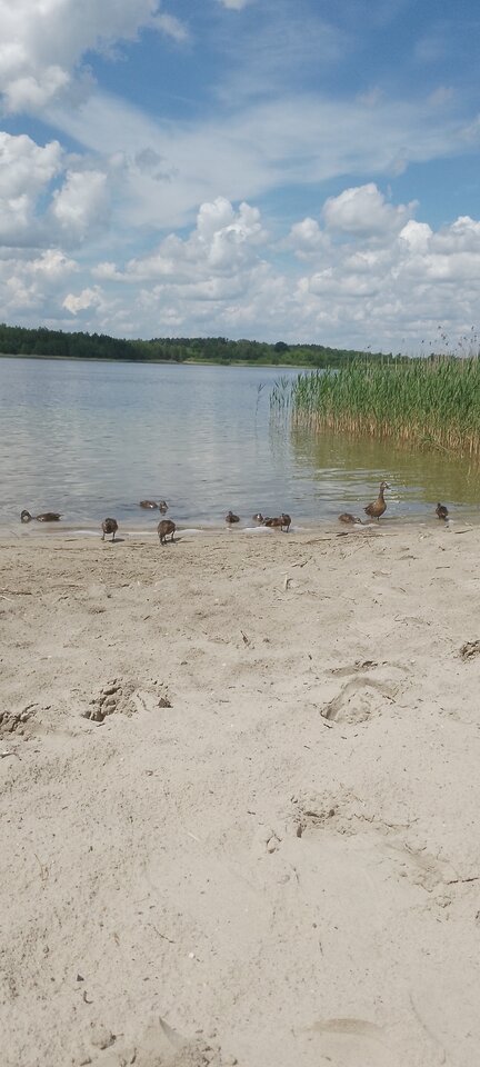 IMG_20240525_115823_192.jpg - Caca1234568