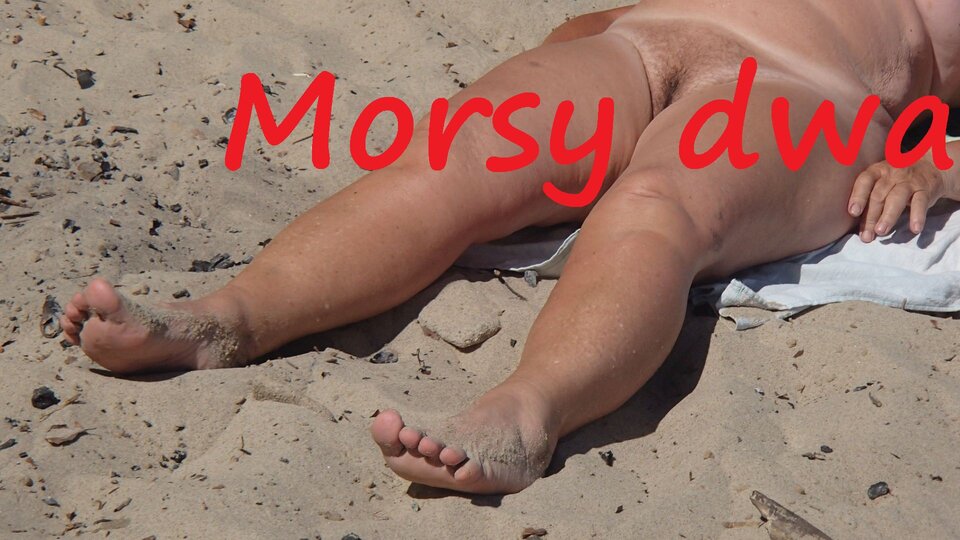 Pod skarpą. - Morsy_dwa