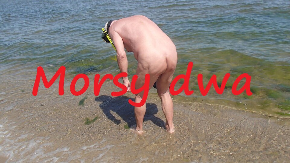 Przygotowanie. - Morsy_dwa