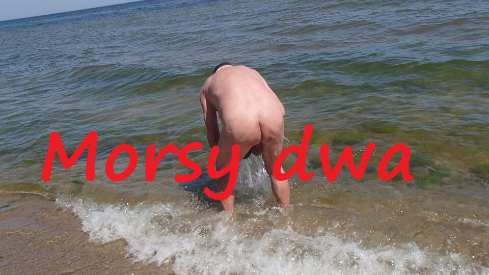 Przygotowanie. - Morsy_dwa