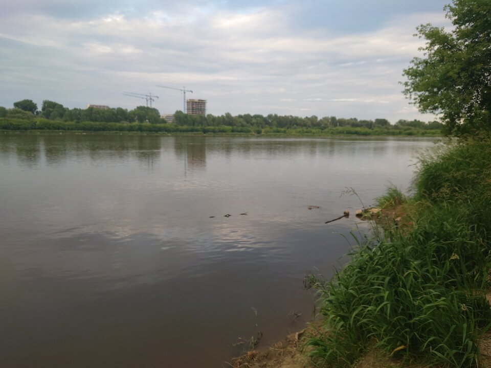 DSC_0573.JPG - Michaall99