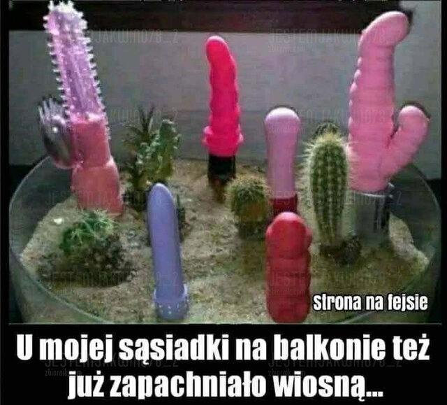 Messenger_creation_76eee34c-29b9-4e41-96c2-bc2c690ea1f8.jpeg - Jestemjakwino78_2