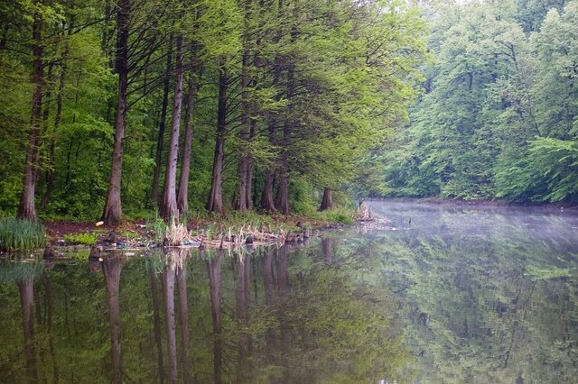 Forest-lake.jpg - Introwertyk93