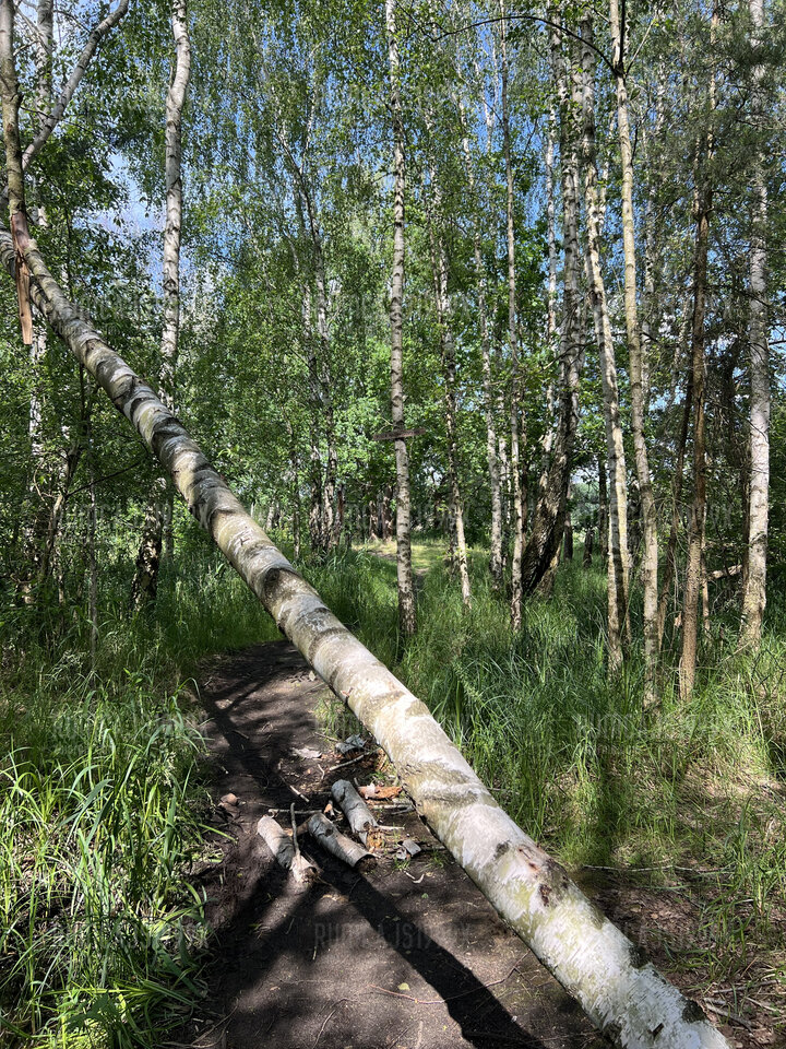 IMG_0529.jpeg - Rumcajs1999x