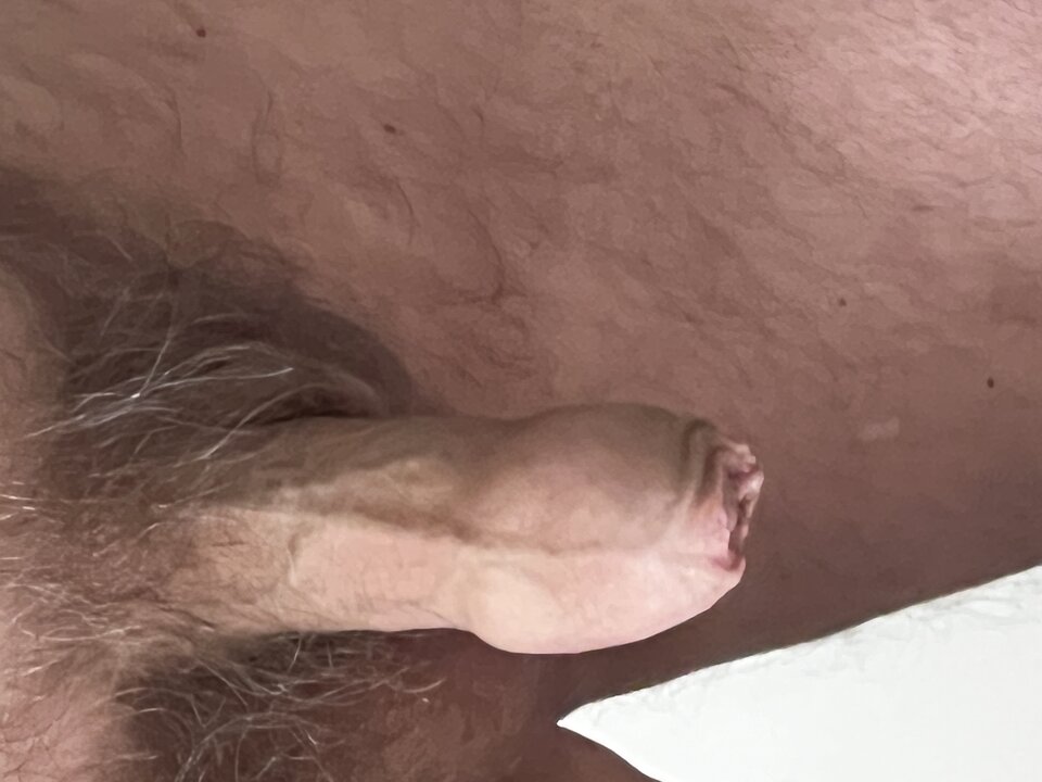 IMG_3053.jpeg - szpakowatypo50