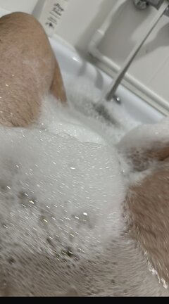 IMG_3949.jpeg
