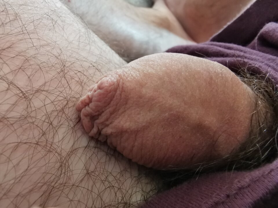 IMG_20240530_135246.jpg - Zi0001