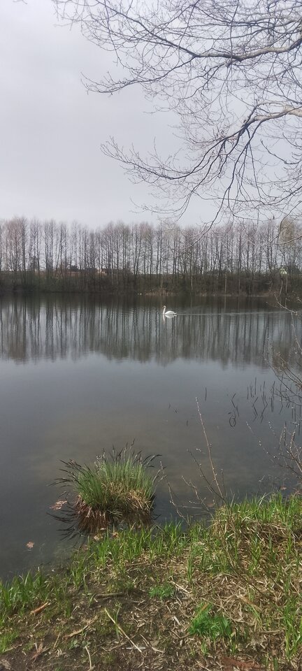 IMG_20240408_154602.jpg - Arturoo143