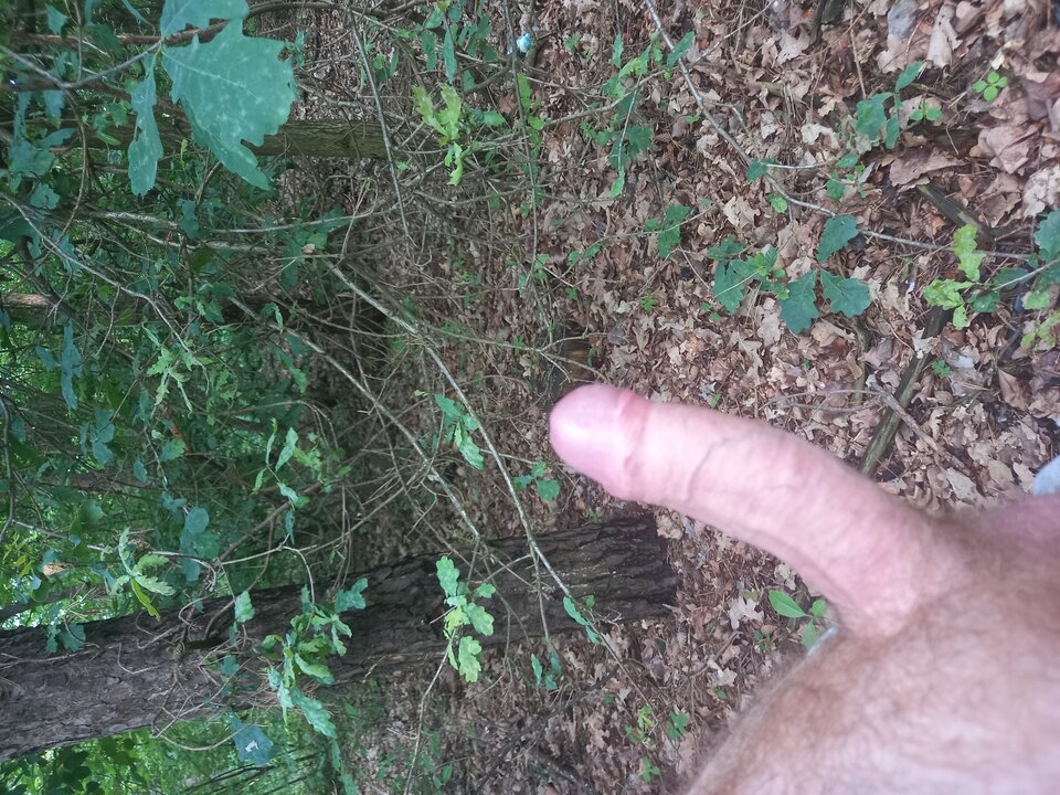 1717083711623677663376381971578.jpg - Vmax436