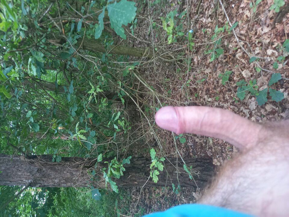 1717083930038904736931160954595.jpg - Vmax436