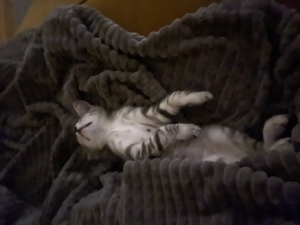 IMG_1523.jpeg - piotr1985_kr