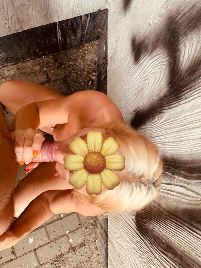 extraordinary_and_wolf