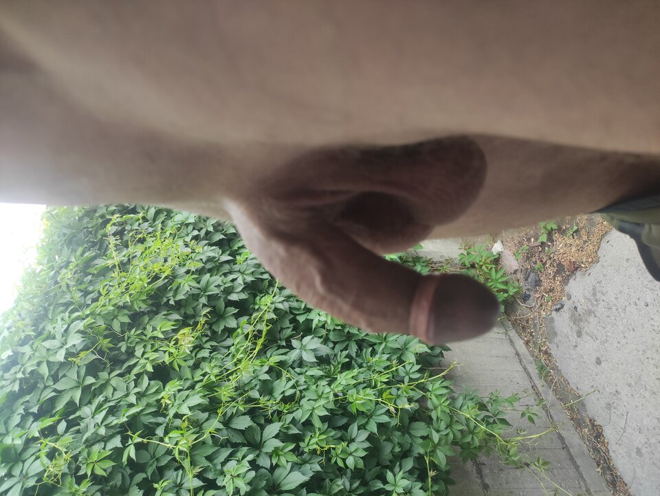 IMG_20240531_164647.jpg - Adamadam1978