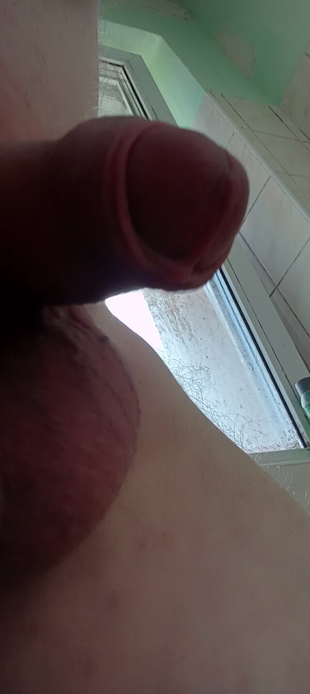 OPitt