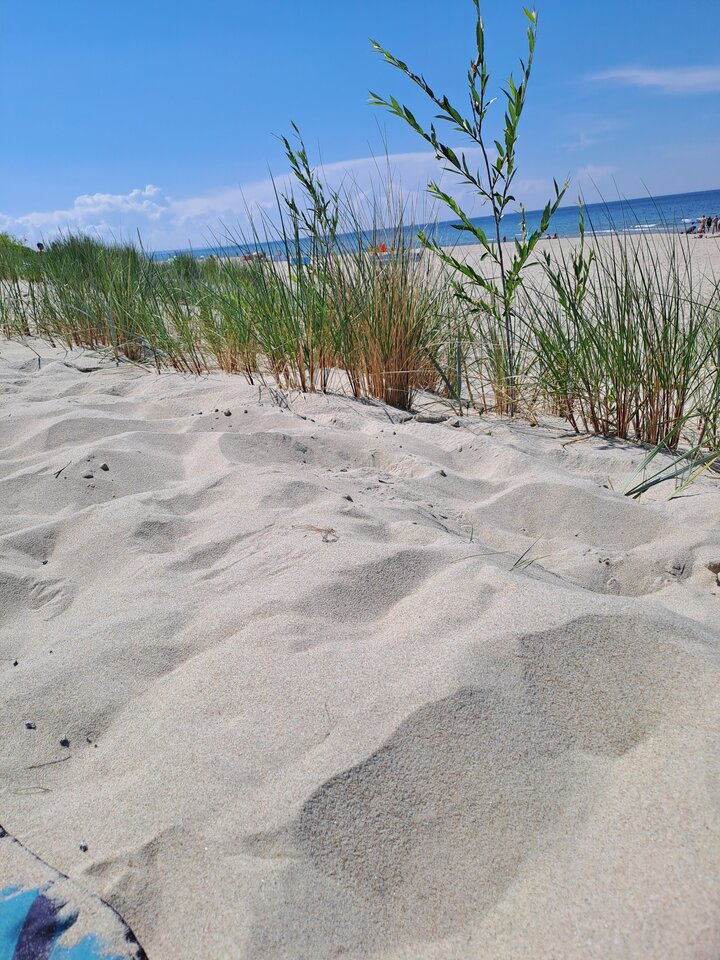 01.06.2024 - Naturysci2022