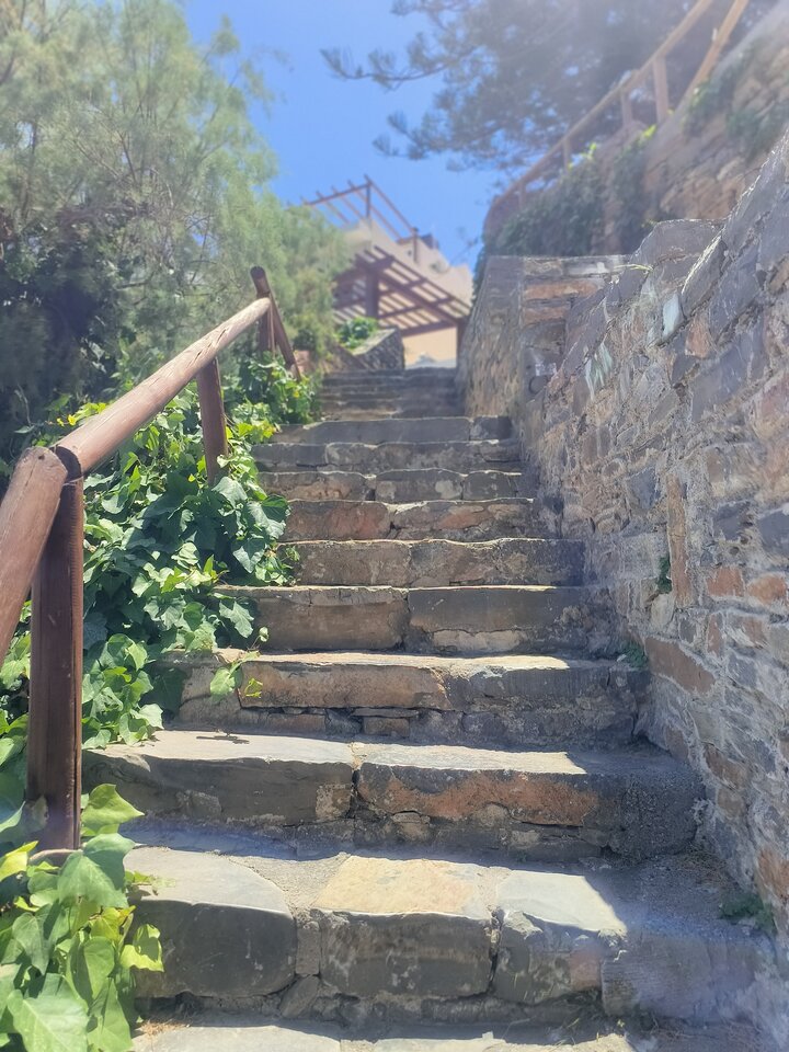 1000018909.jpg - bibusmeneosss