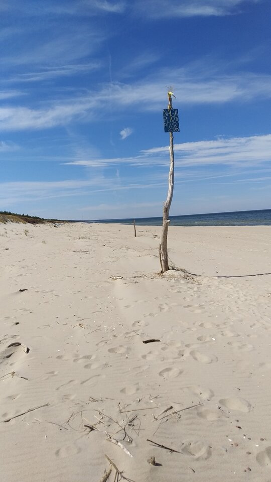 IMG_20210510_114423.jpg - Raf944