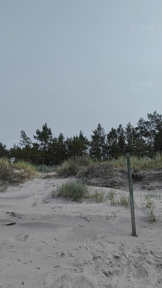 1000000252.jpg - ZepsuciOni