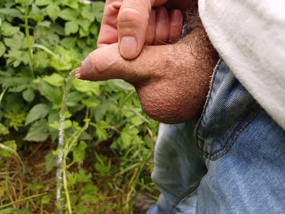 1000000798.jpg - Fiutkutaschujjaja