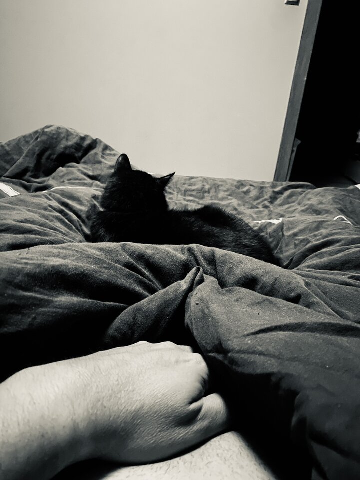 😻 - serialowapara19782