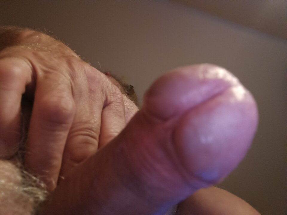 17172841640763964227982497982170.jpg - ardas1