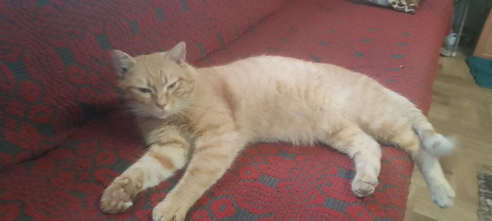 IMG_20240204_142651.jpg - Arturoo143