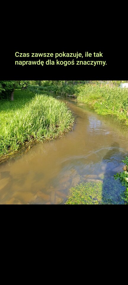 1000023317.jpg - Imrankhann